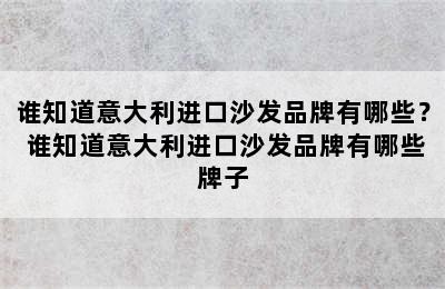 谁知道意大利进口沙发品牌有哪些？ 谁知道意大利进口沙发品牌有哪些牌子